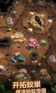 蚂蚁地下王国1.7.12