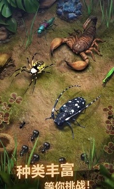 蚂蚁地下王国1.7.13