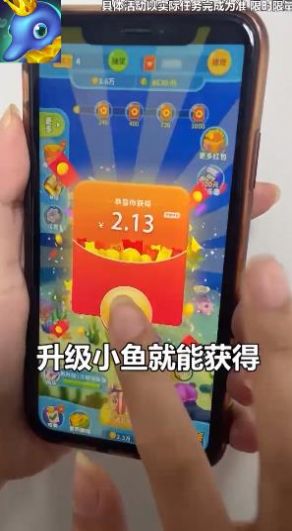 养鱼天天赚3