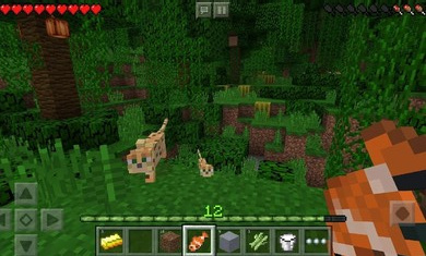 我的世界1.17.40.06