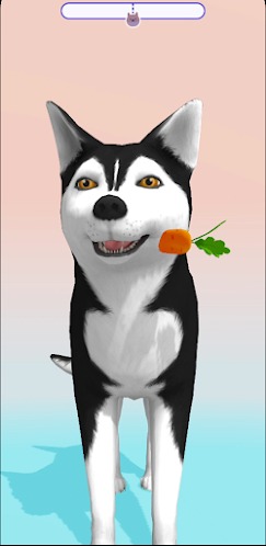 狗狗ASMR1