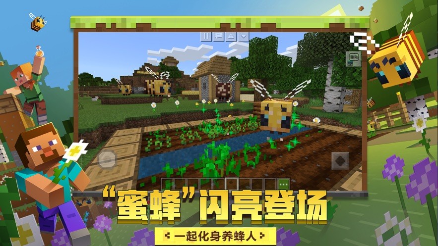 我的世界基岩版1.17.41.012