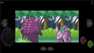 口袋妖怪剑盾随机版1