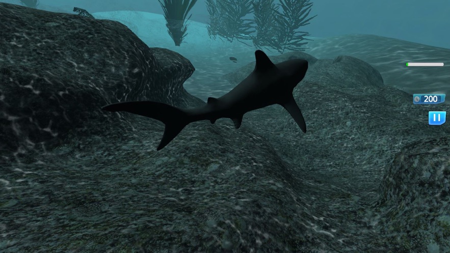 饥饿的鲨鱼动物园模拟