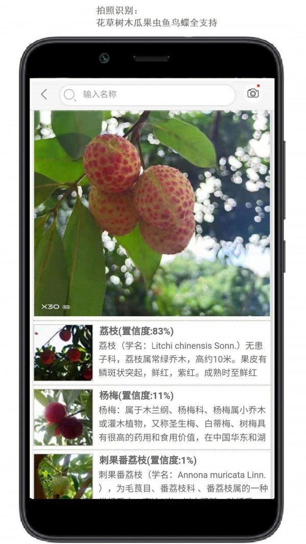 行色识花 行色识花