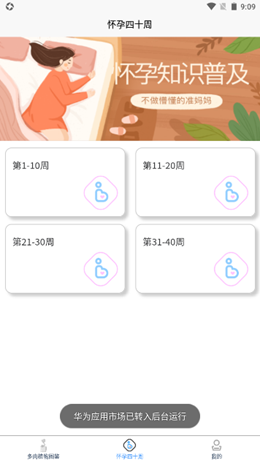 多肉植物陪护记1