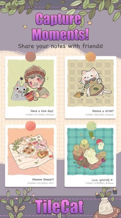 瓷砖猫3