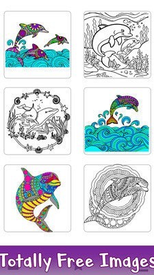 海豚着色书3