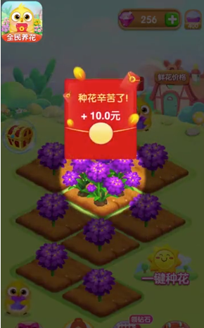 全民养花2