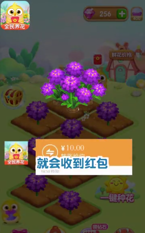 全民养花3