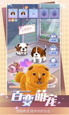 天黑请闭眼3.0.1