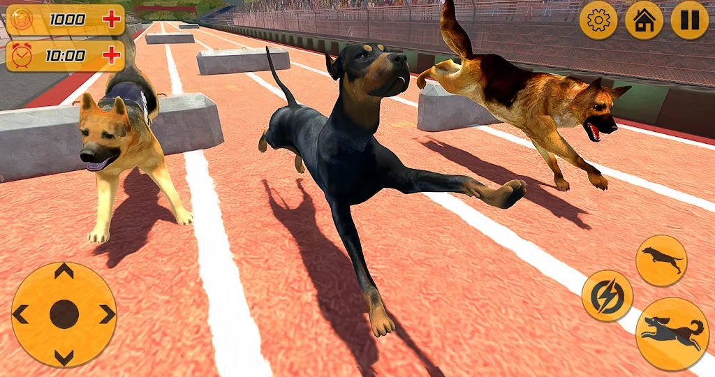 警犬跨栏冲刺3