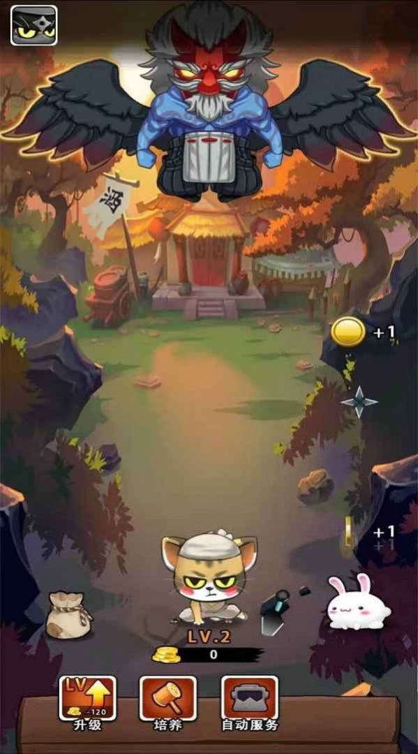 一只忍者猫1