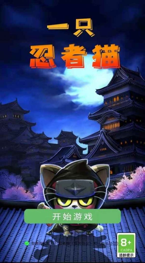 一只忍者猫3