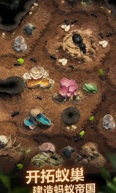 蚂蚁地下王国1.10.01