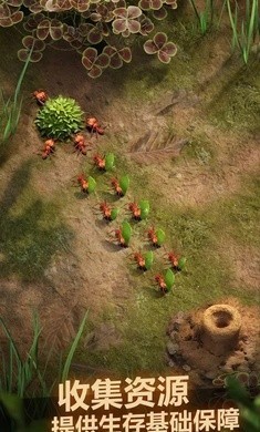 蚂蚁地下王国1.10.03