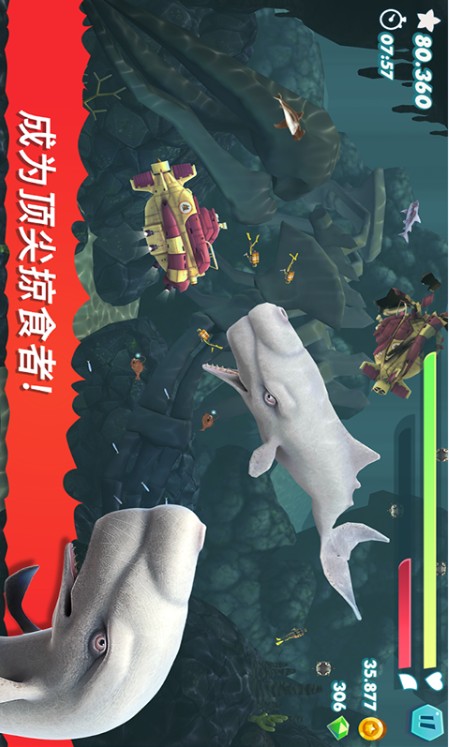饥饿大白鲨1
