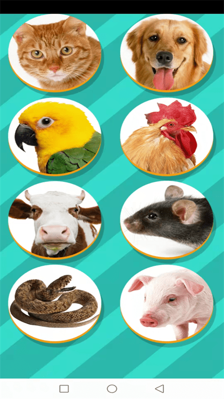 动物交流模拟器2