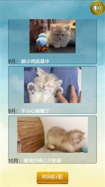 猫的一生重启模拟器1
