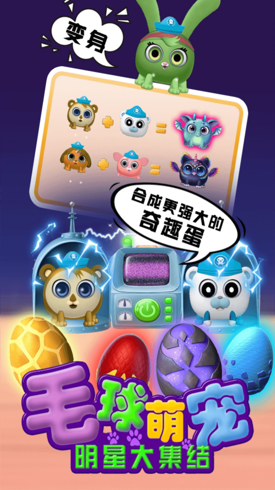 毛球萌宠明星大集结1