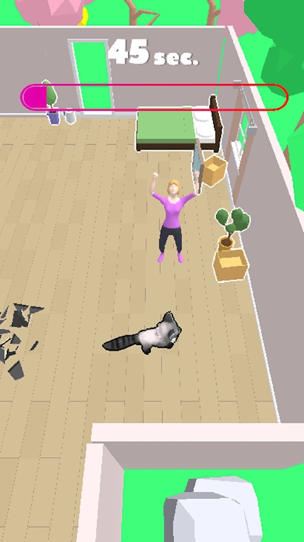 浣熊破坏房屋2