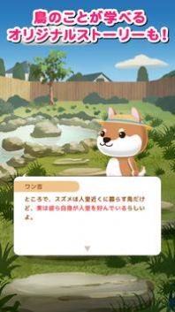 雀鸟乐园1