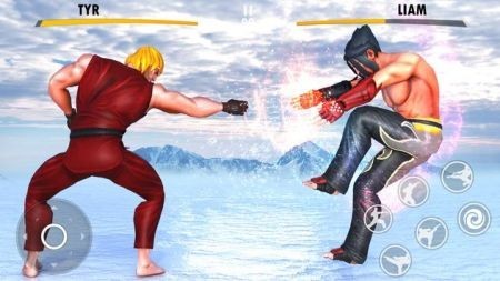 功夫街战斗英雄2