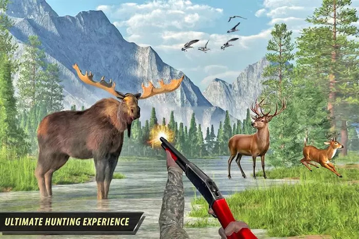 野生动物狩猎丛林动物射击3