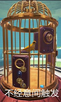 神秘的鸟笼0