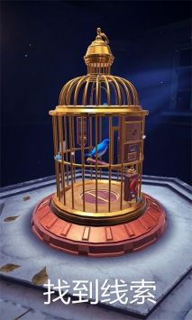 神秘的鸟笼2