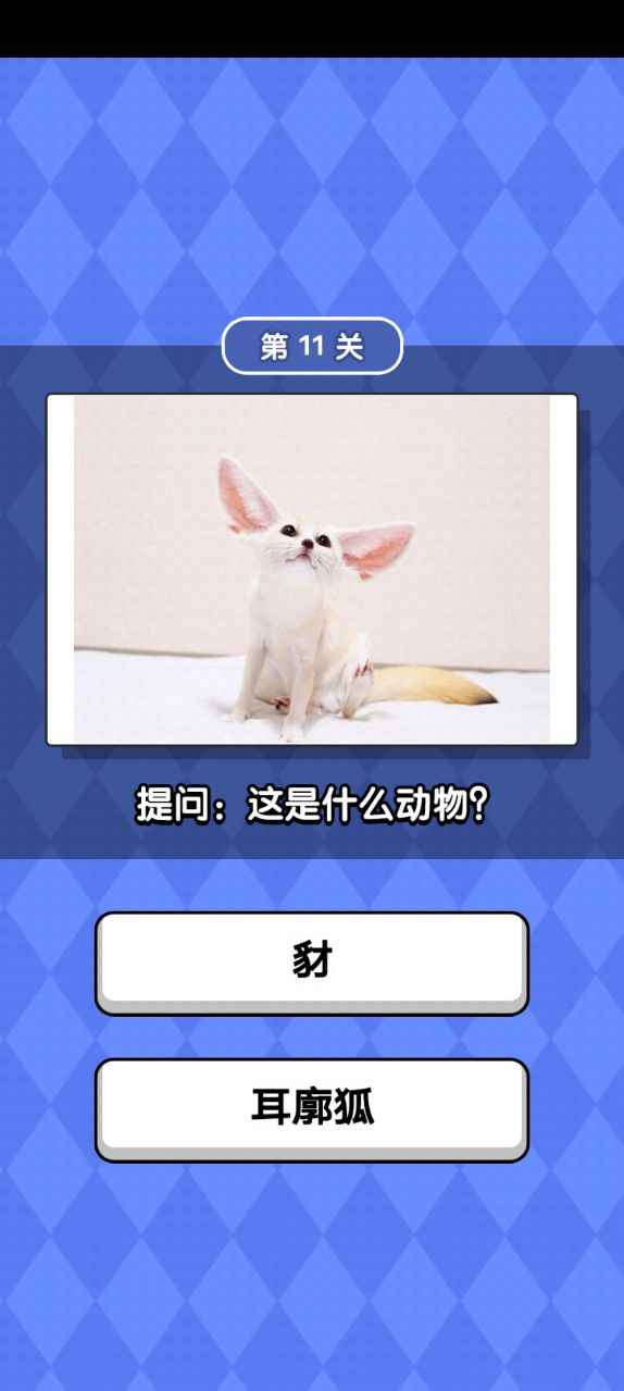动物滑滑乐1
