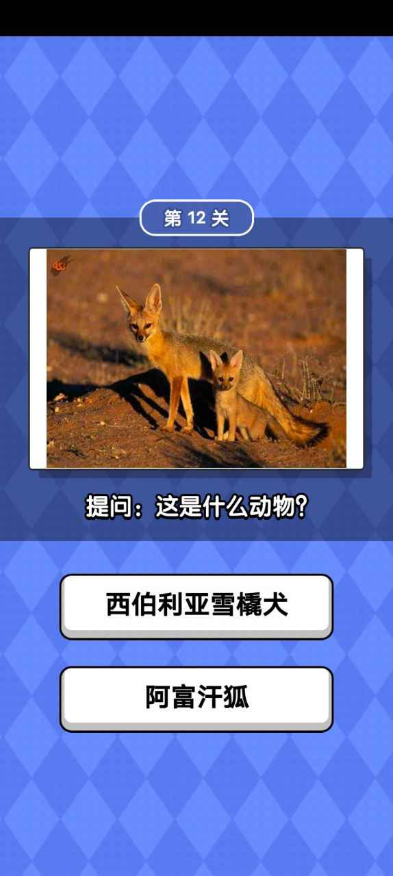 动物滑滑乐2