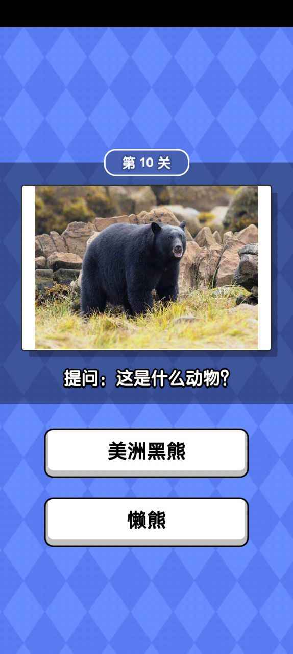 动物滑滑乐4