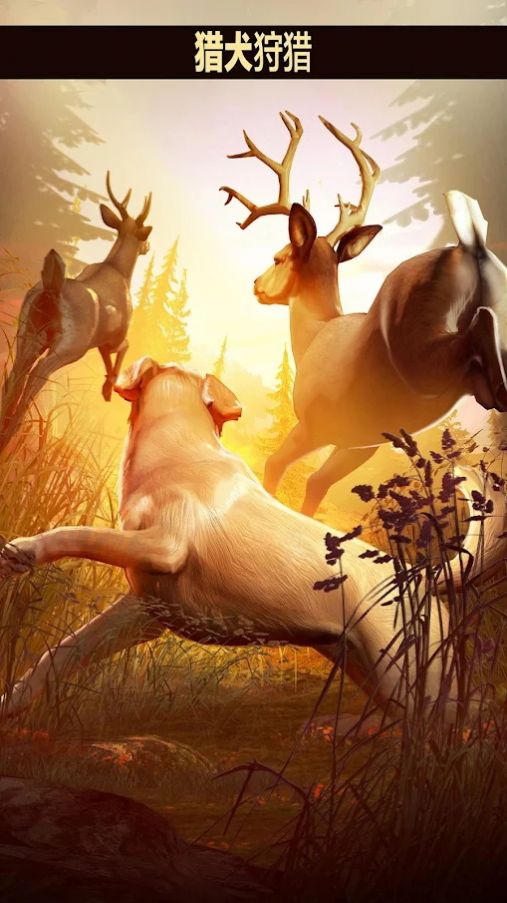猎鹿人模拟器3