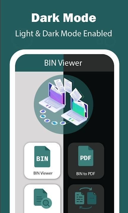Bin File Reader1