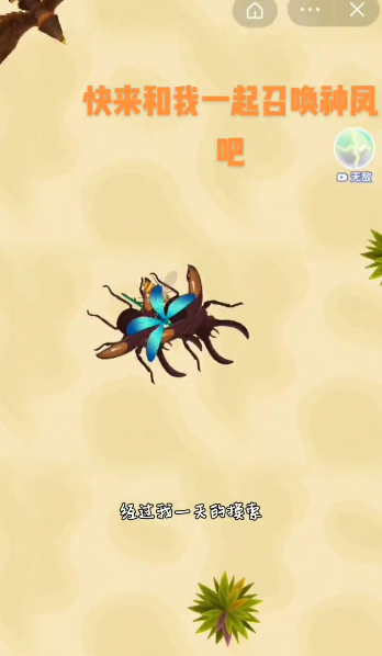 召唤神凤3