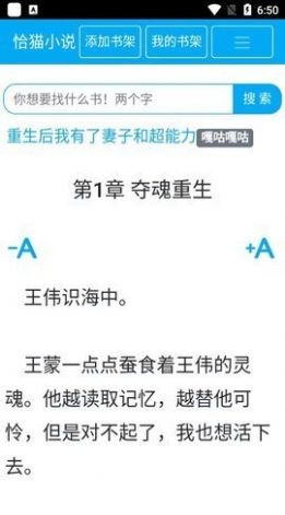 恰猫小说1