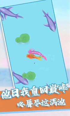 我要召唤神龙1