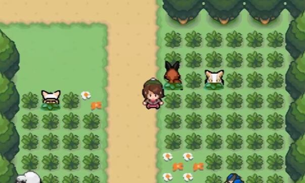 精灵宝可梦剑盾二周目2