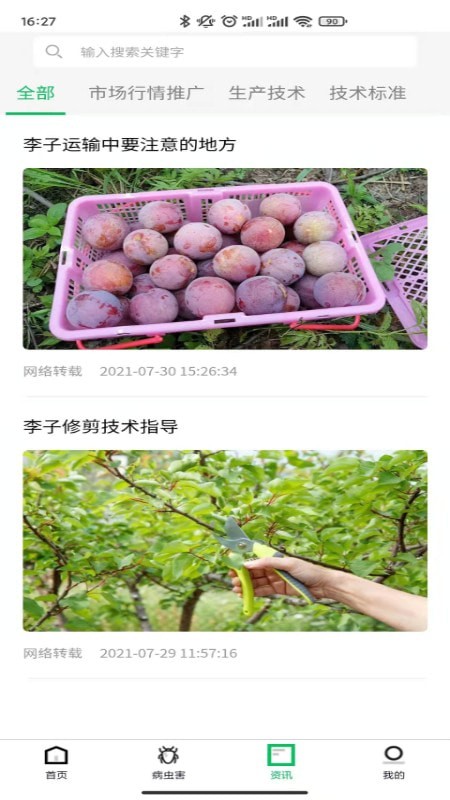 八步三华李产业分析1