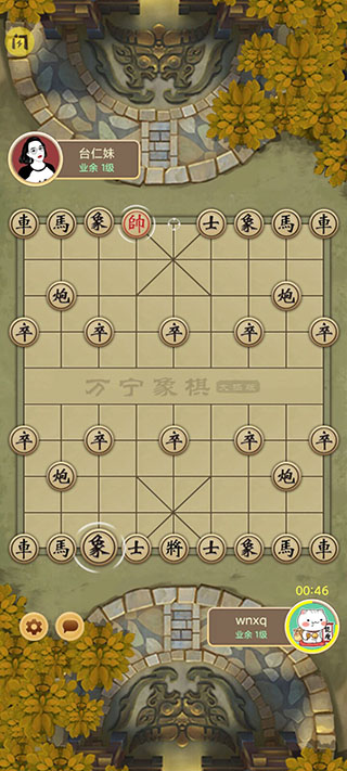 万宁象棋无限升级版1