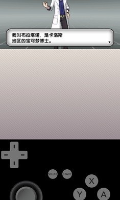 精灵宝可梦X最终版2