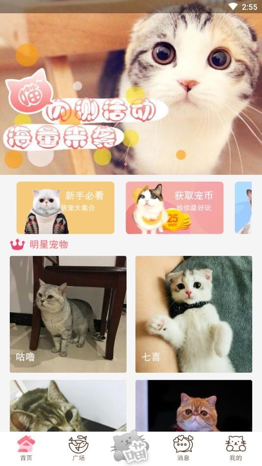 猫咪汇 猫咪汇
