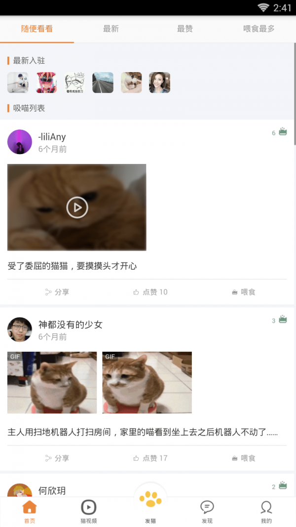 养猫圈 养猫圈
