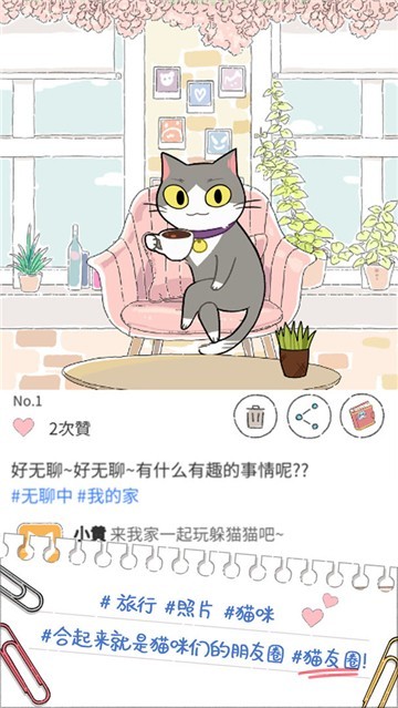 猫友圈4