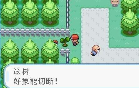 精灵宝可梦叶绿3