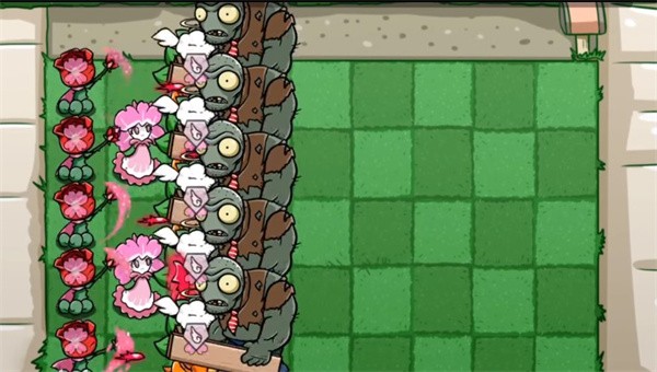 植物大战僵尸bt美人樱2