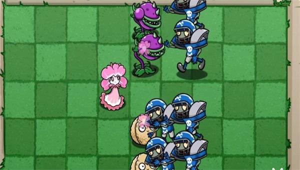 植物大战僵尸bt美人樱4