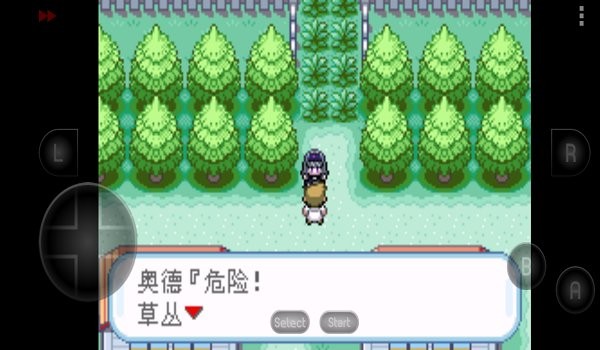 口袋妖怪究极之路1