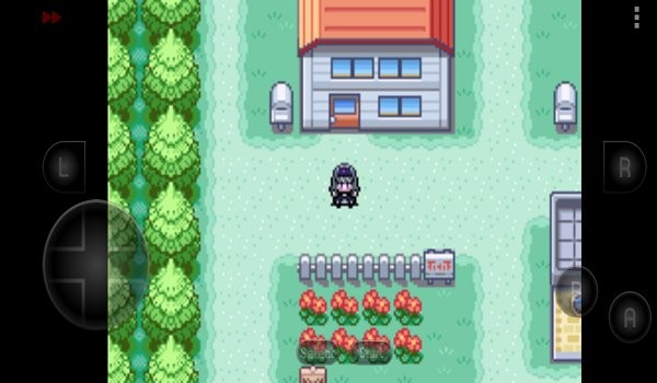 口袋妖怪究极之路3